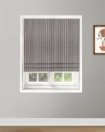 Drought Stripes - Ash Gray  Roman Shades