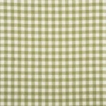 Gingham Check - Green Fabric Swatch