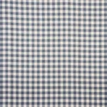 Gingham Check - Blue Fabric Swatch